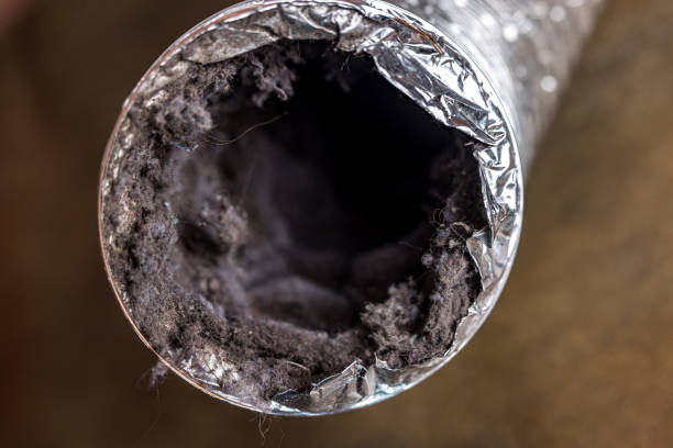Best Commercial Air Duct Cleaning  in Golden Gate, FL