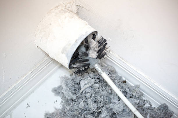 Best Dryer Vent Cleaning Services  in Golden Gate, FL